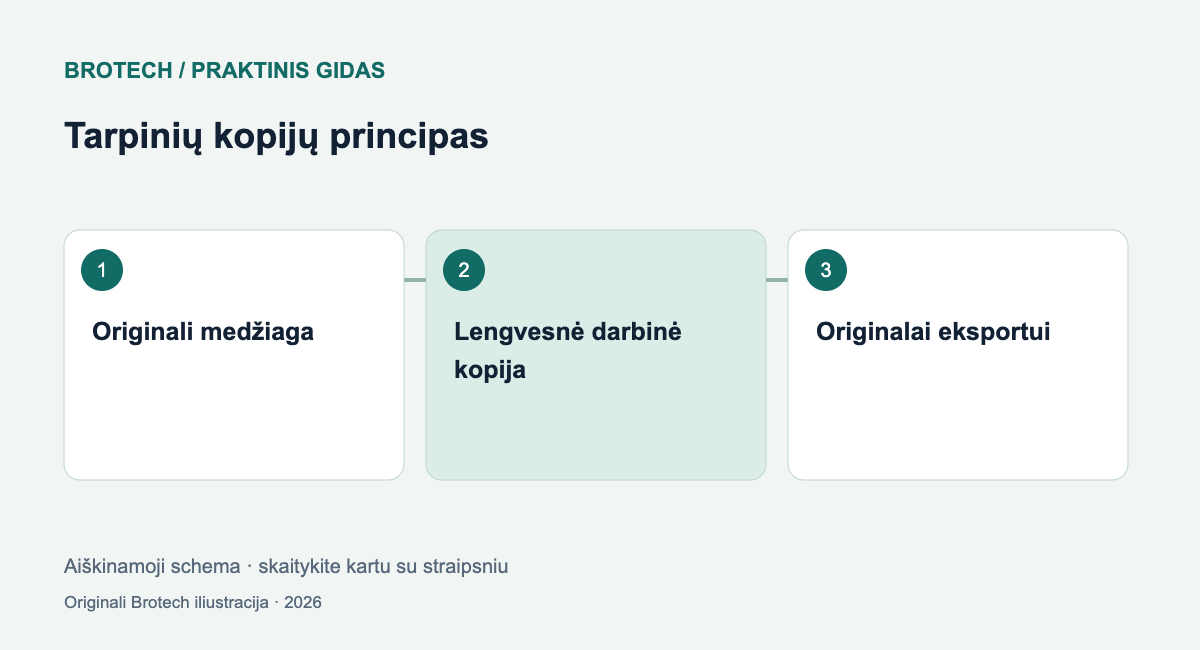Tarpinių kopijų principas: Originali medžiaga; Lengvesnė darbinė kopija; Originalai eksportui